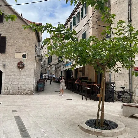 Devivi * 스플리트